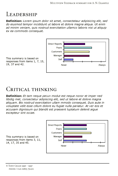 example report